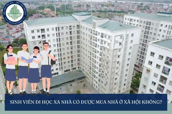 Các chính sách hỗ trợ nhà ở khác dành cho sinh viên và người mới ra trường như thuê nhà ở xã hội hoặc vay vốn ưu đãi.